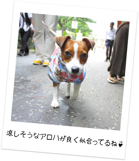 JuJu・Takeshi